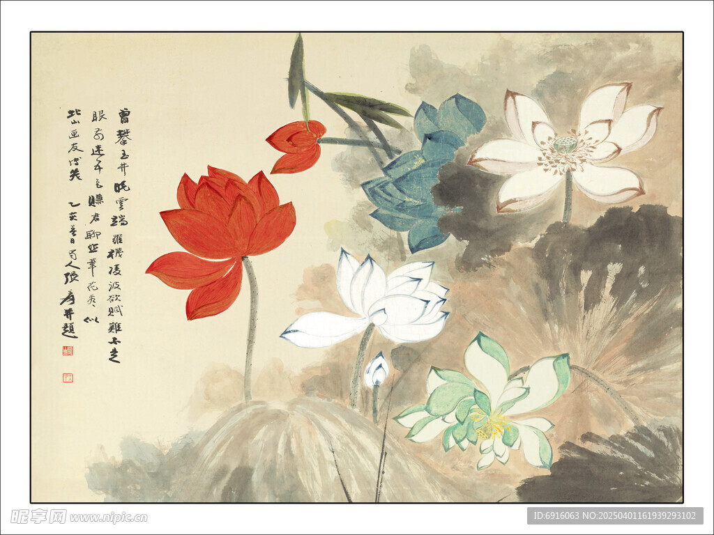 禅意荷花