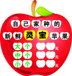 苹果