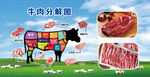牛肉分解图