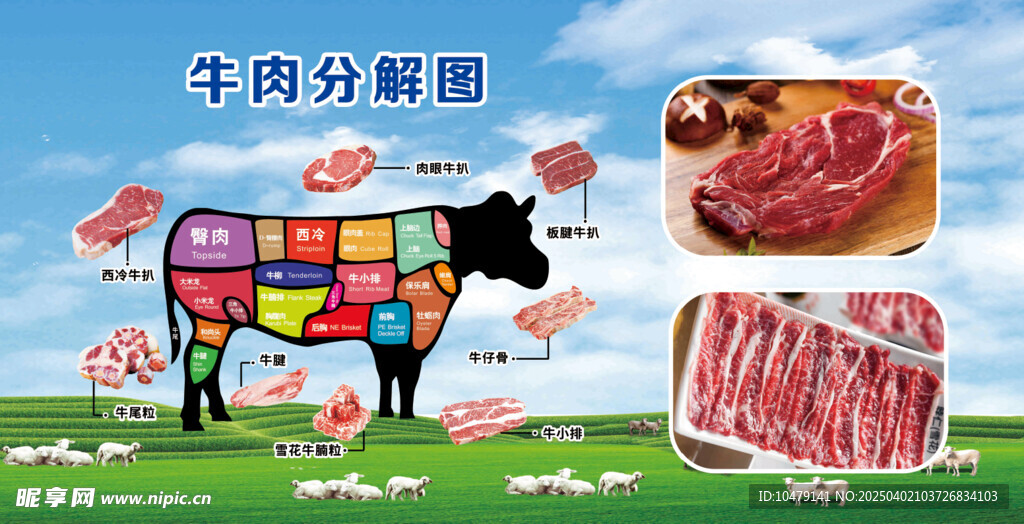 牛肉分解图