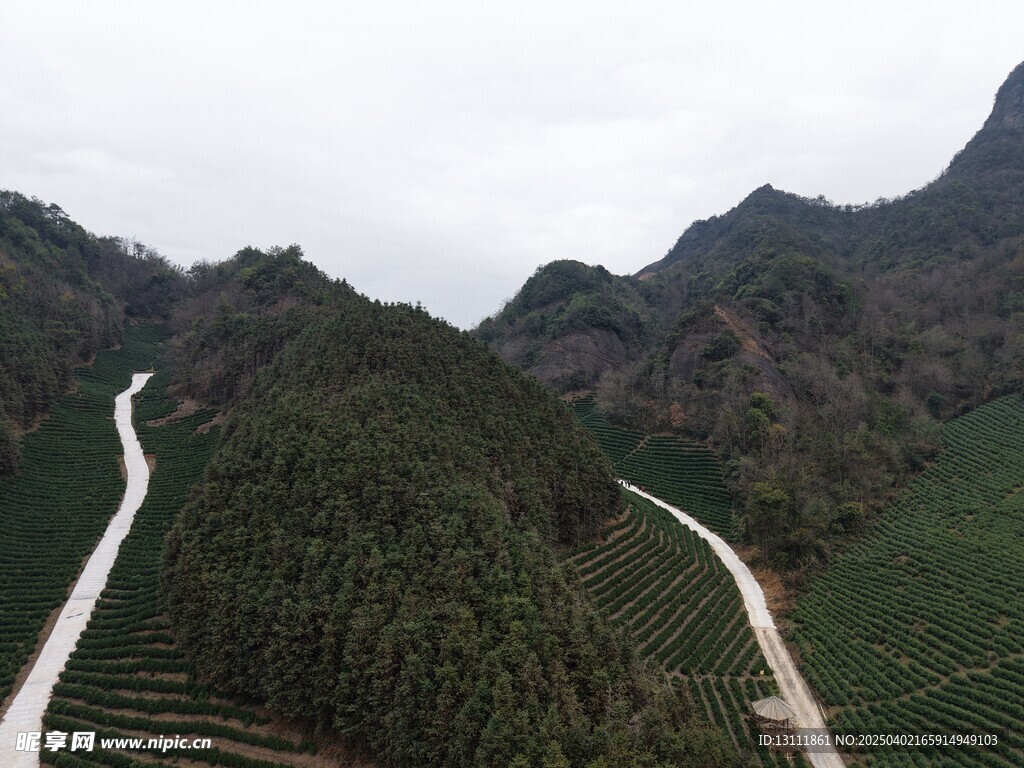 俯瞰资源县边溪茶园