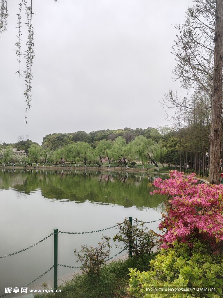 湖边美景