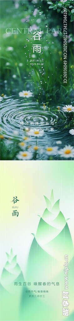 谷雨
