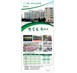 绿色简介展架