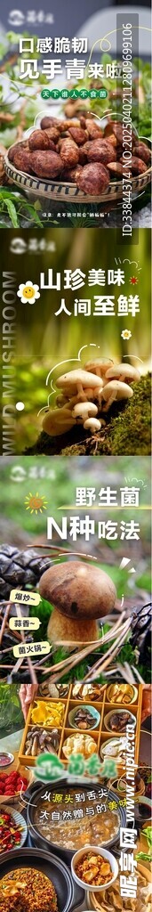 野生菌海报