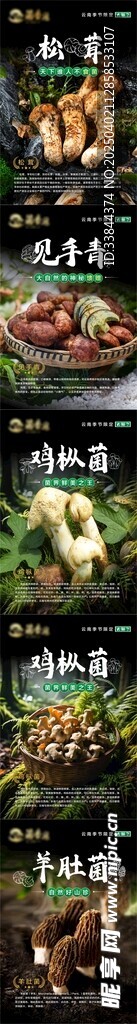 野生菌海报
