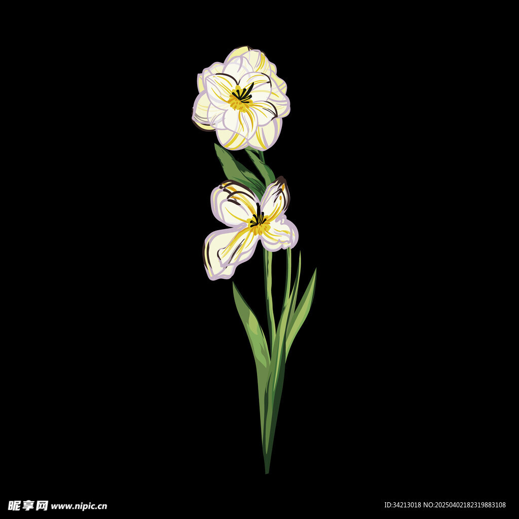 大牌定位花