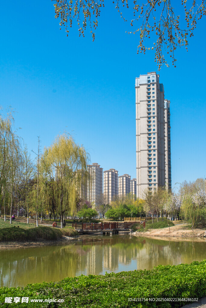 城市公园湖泊与绿植倒影