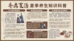 中医冬病夏治夏季养生知识宣传栏