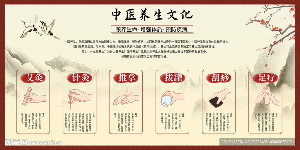 中医养生文化宣传栏