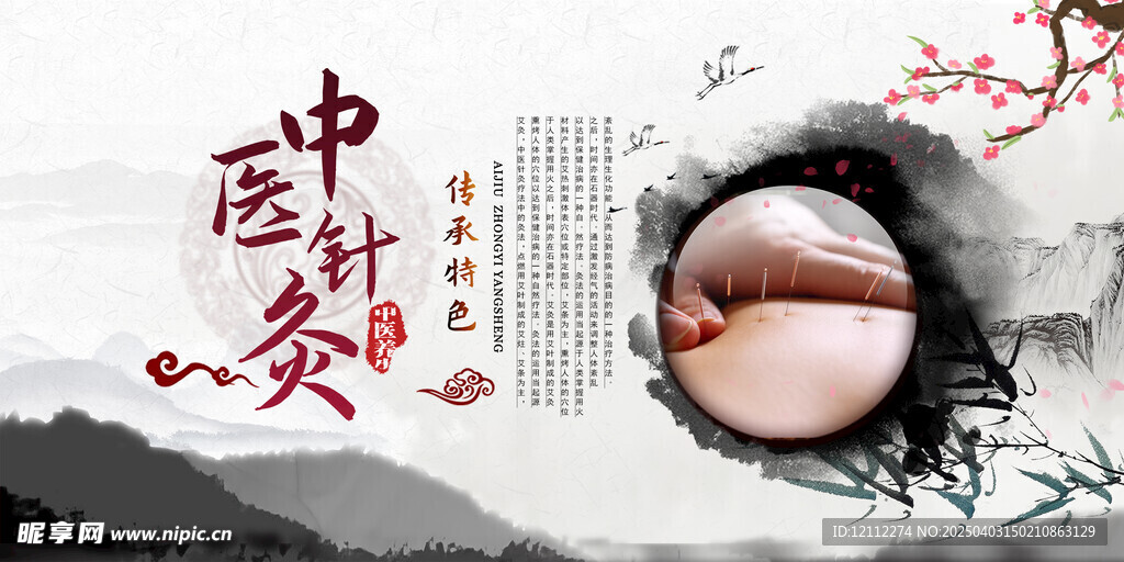 中医中药针灸宣传栏