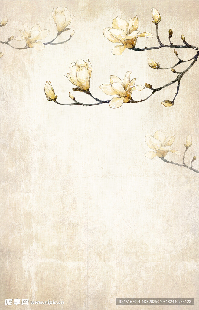 复古风手绘玉兰花插画