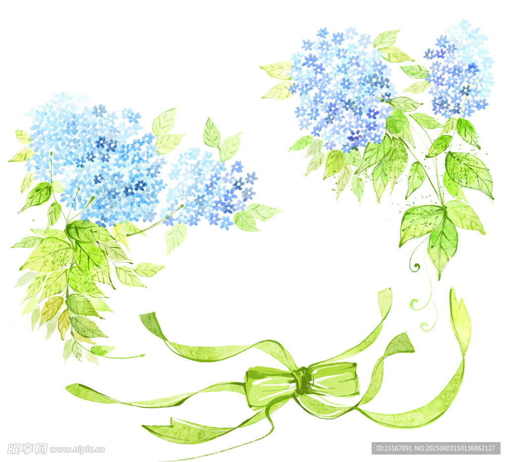 卡通花卉鲜花花边丝带元素