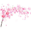 卡通手绘花卉插画元素