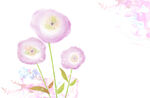 手绘水彩花卉图案插画