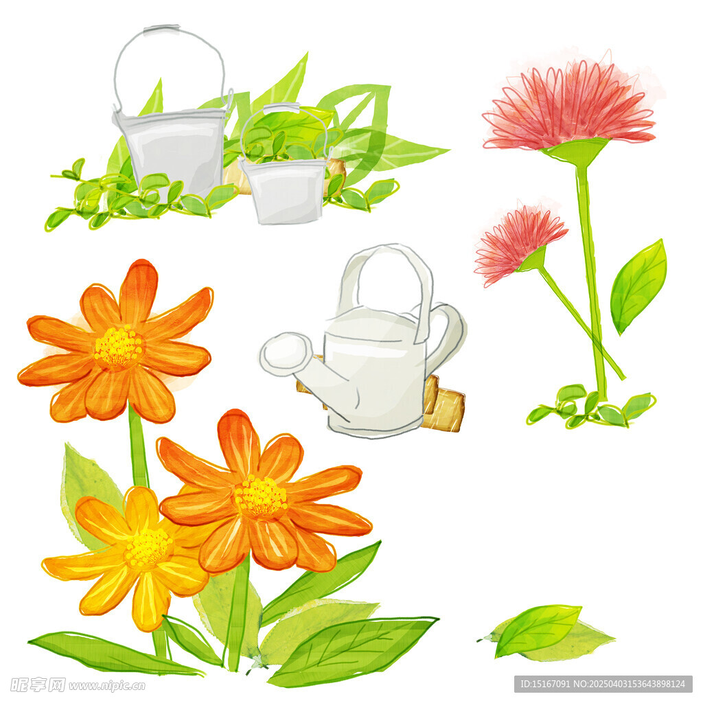 手绘花卉盆栽绿植插画