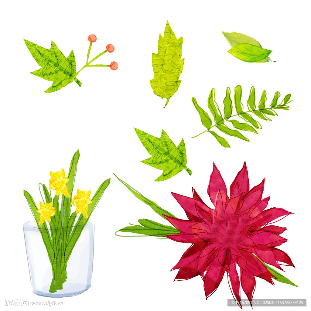 手绘花卉盆栽绿植插画