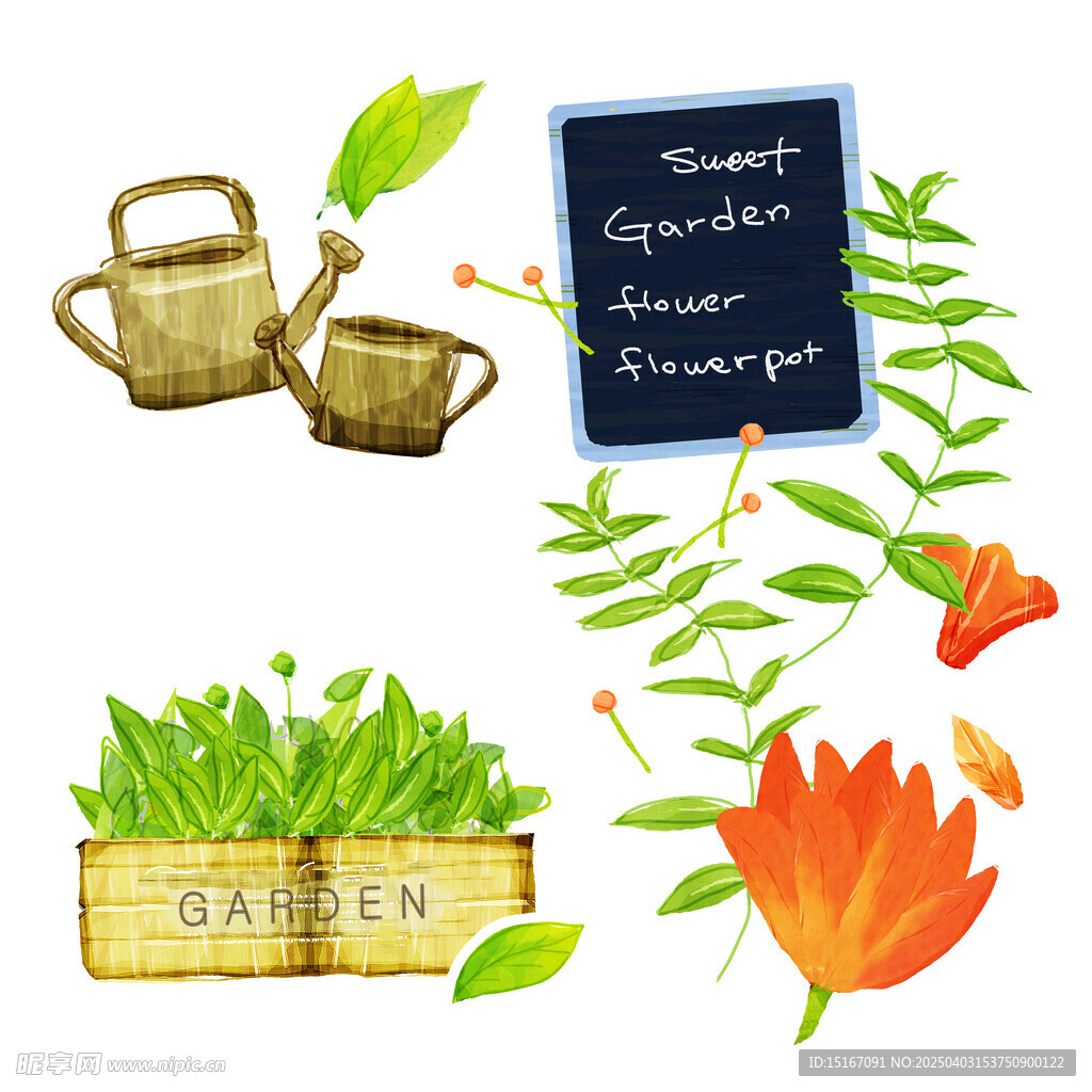 手绘花卉盆栽绿植插画