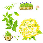手绘花卉盆栽绿植插画