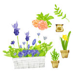 手绘花卉盆栽绿植插画