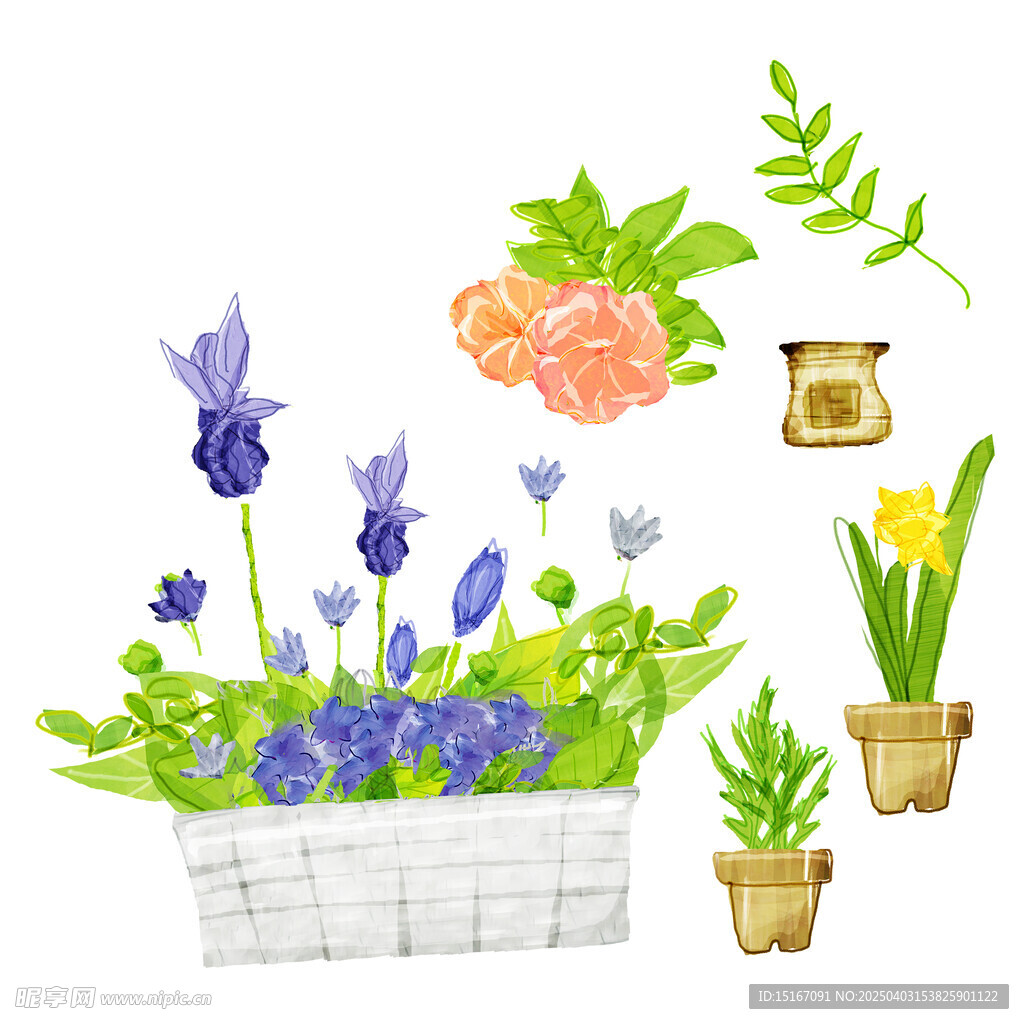 手绘花卉盆栽绿植插画