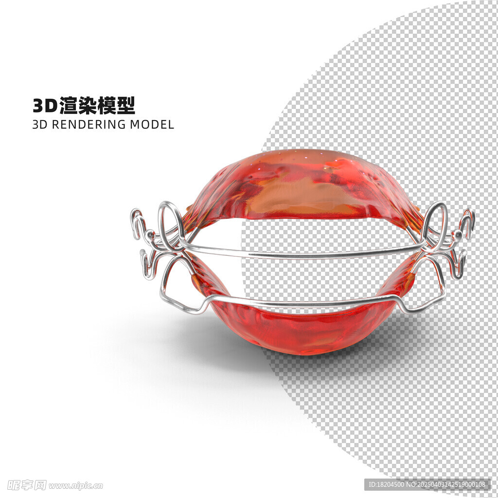 牙齿固定器
