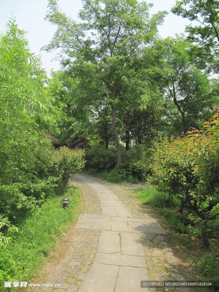 小路