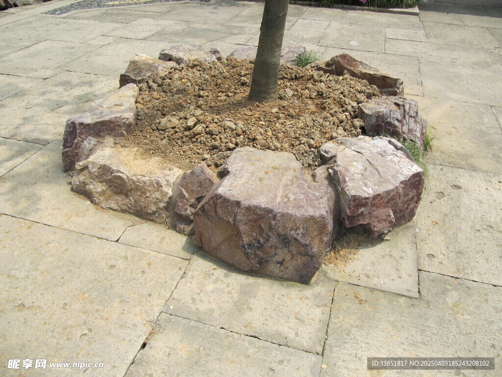 行道路种植