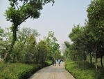 小路