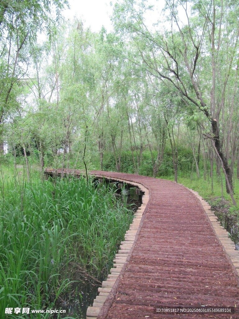 木栈道