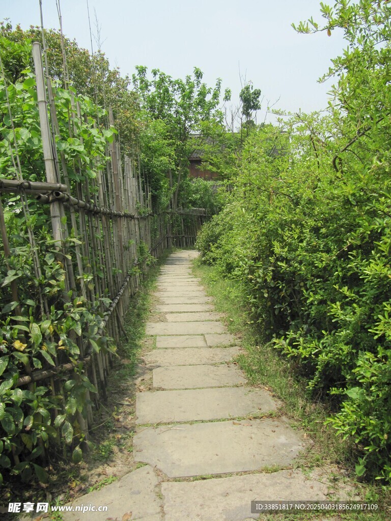 路面铺装