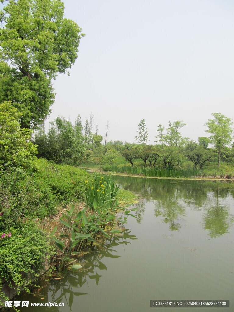 水面