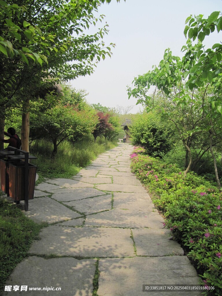 路面铺装