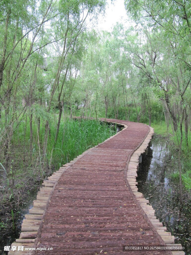 木栈道