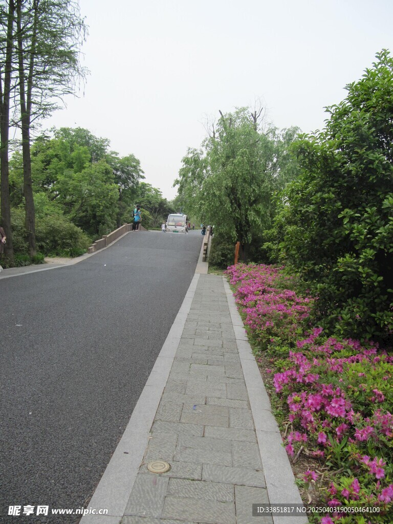 行道路