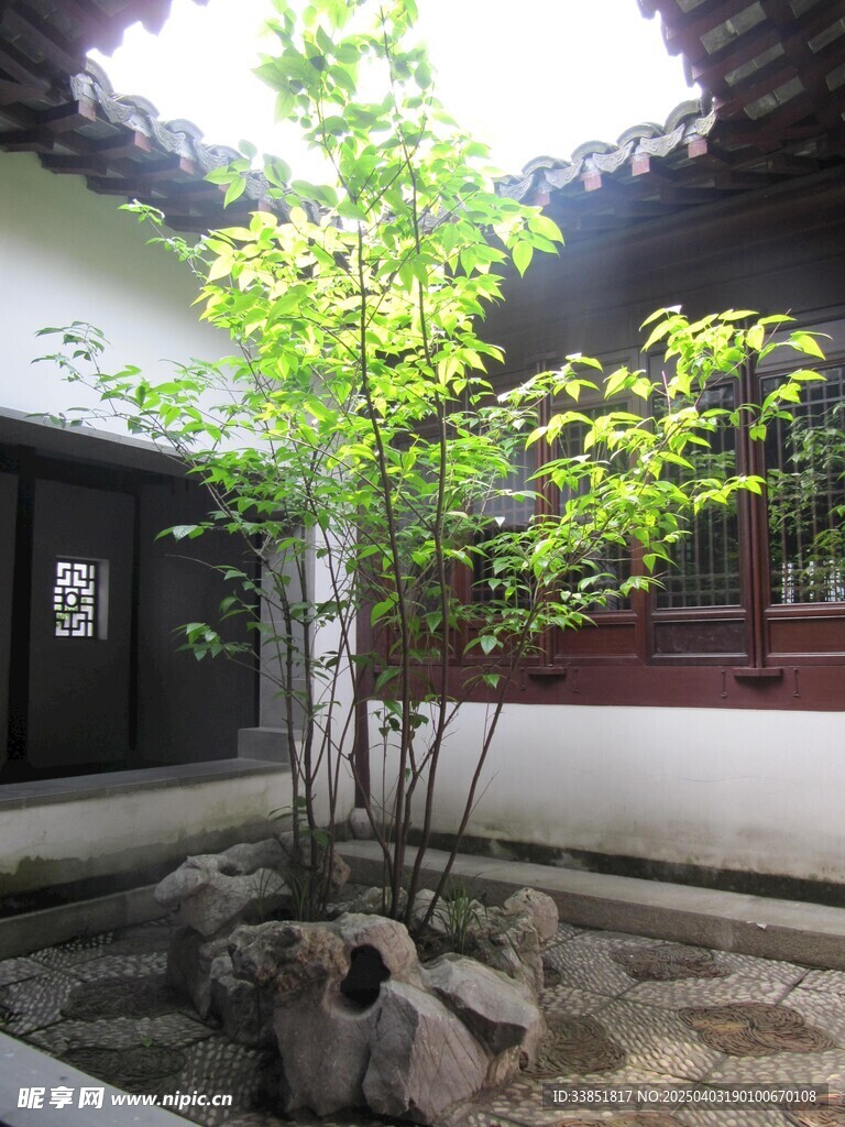 中式庭院