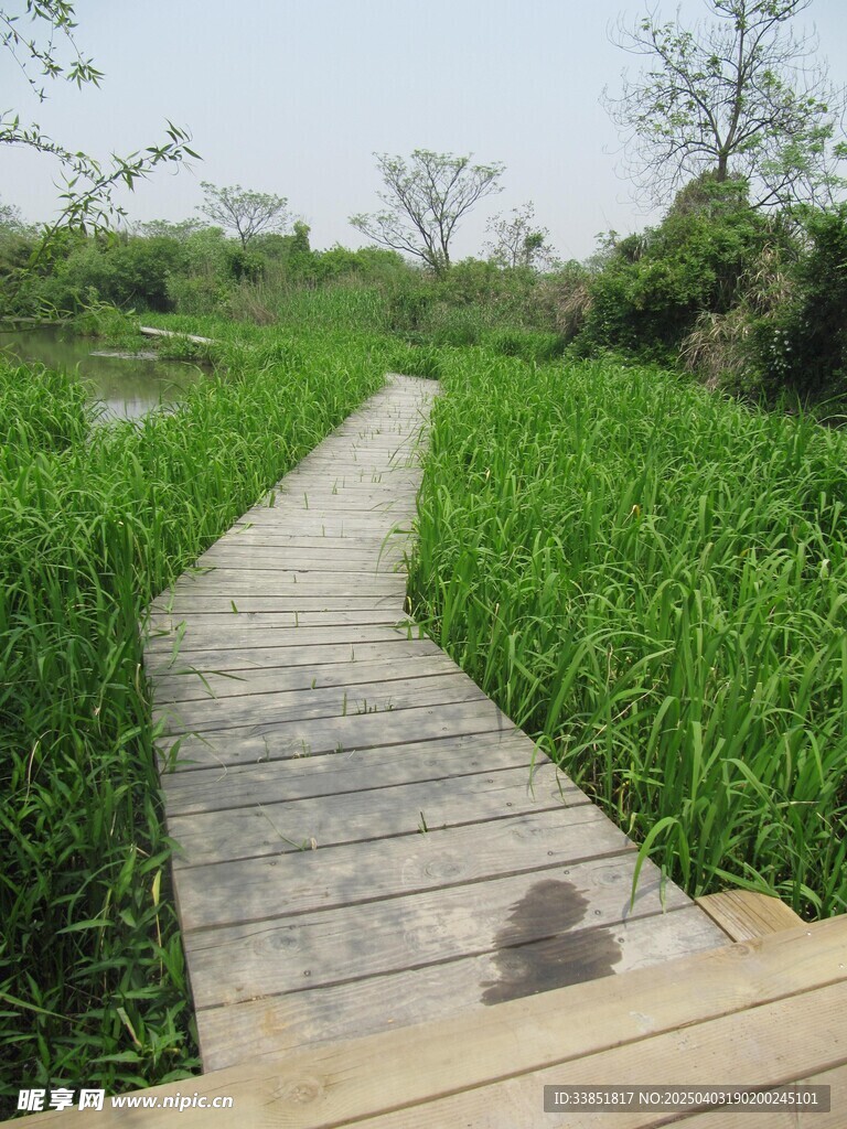 木栈道