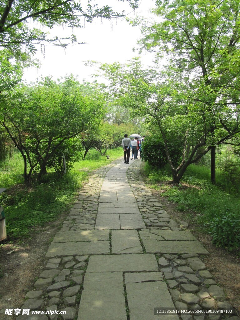 路面铺装