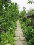 石砖路