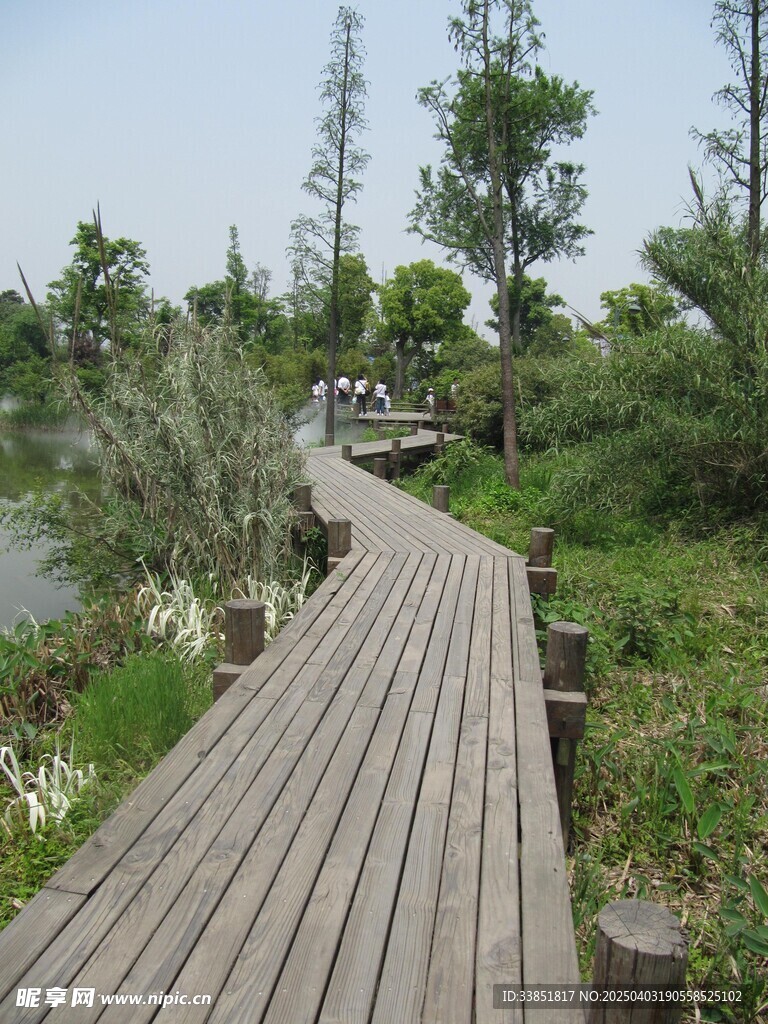 木栈道
