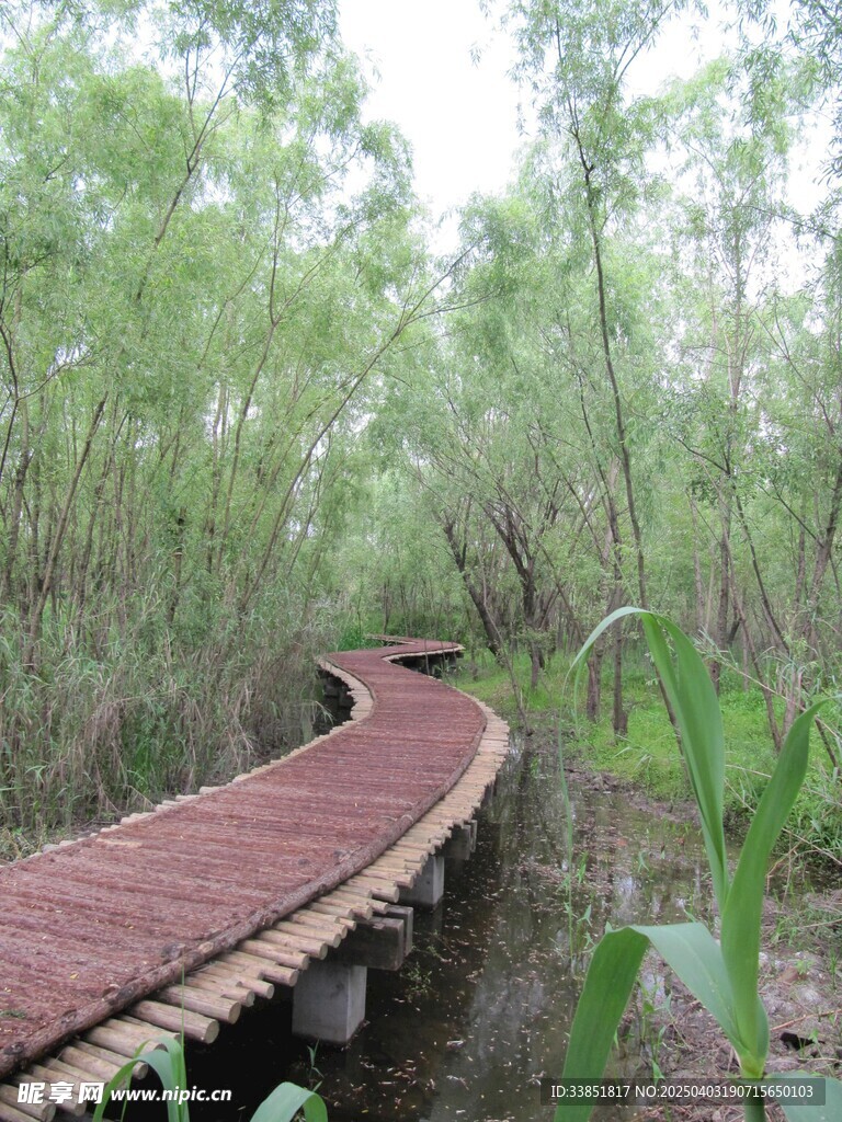 小桥