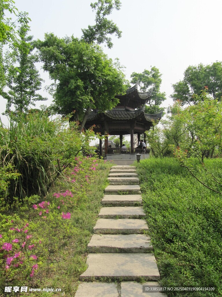 行道树