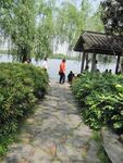 河边
