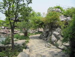 道路植物
