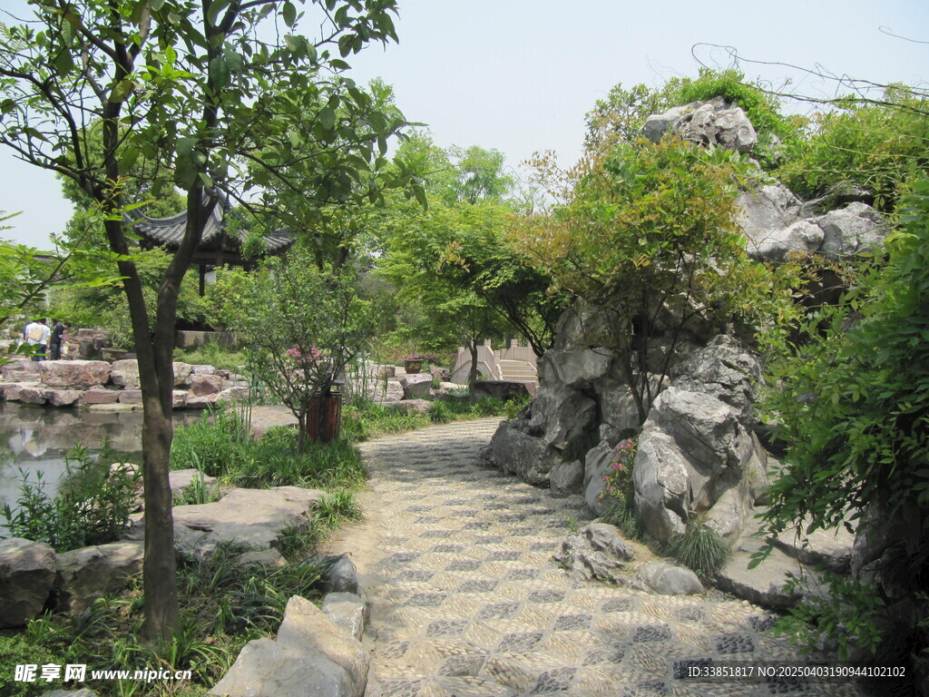 道路植物