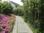 花路