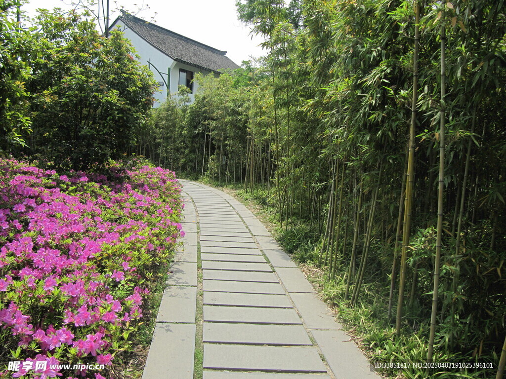 花路