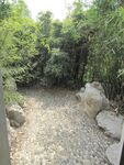 石子路