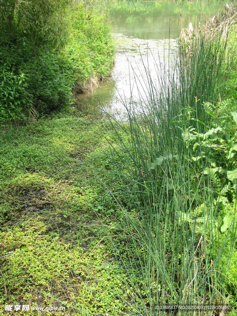 水池