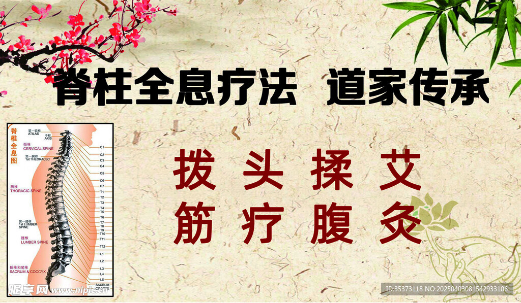 脊柱全息疗法 